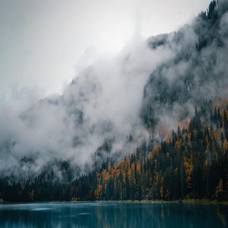 Chalet Genepi Montriond Dış mekan fotoğraf
