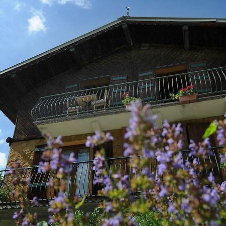 Chalet Genepi Montriond Dış mekan fotoğraf