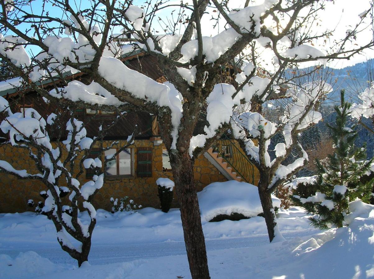 Chalet Genepi Montriond Dış mekan fotoğraf
