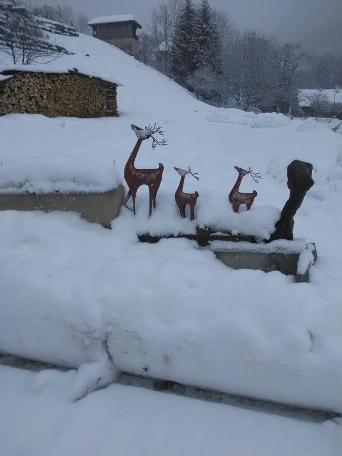 Chalet Genepi Montriond Dış mekan fotoğraf