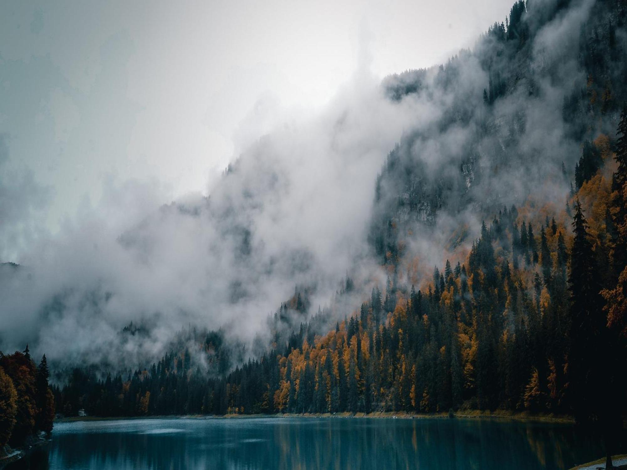 Chalet Genepi Montriond Dış mekan fotoğraf