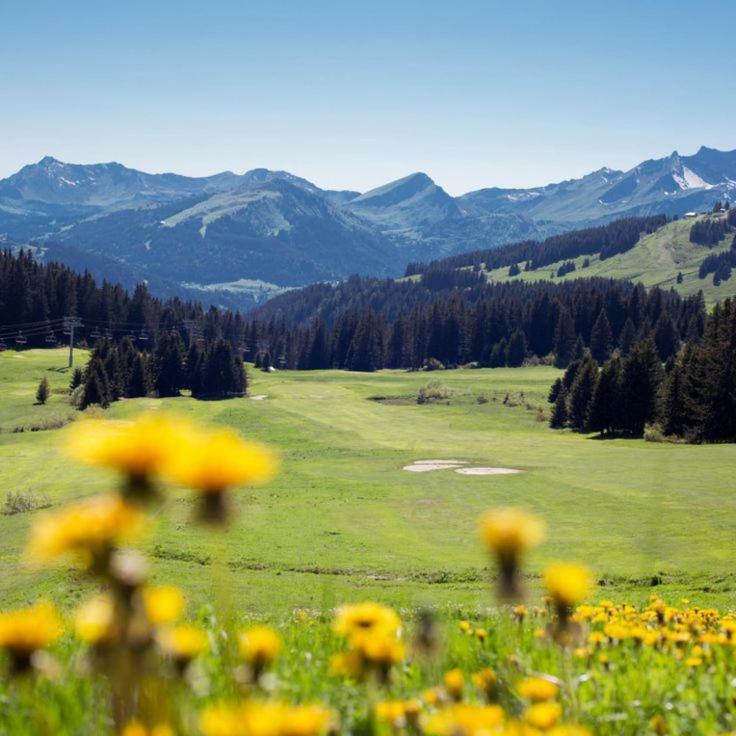 Chalet Genepi Montriond Dış mekan fotoğraf