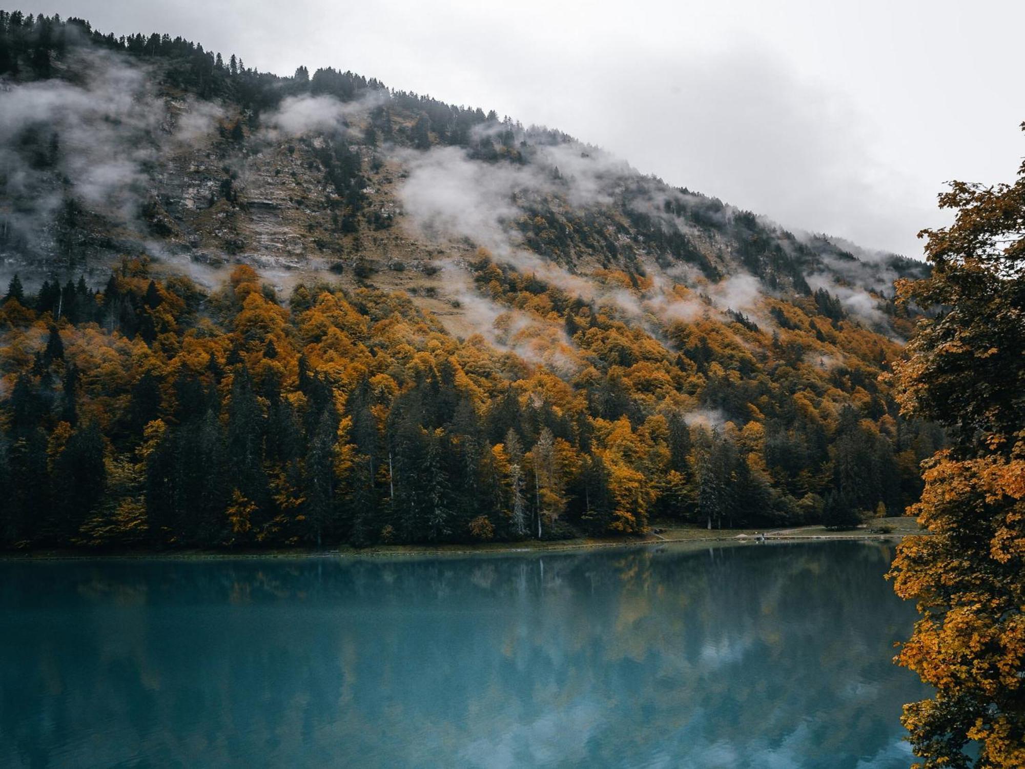 Chalet Genepi Montriond Dış mekan fotoğraf