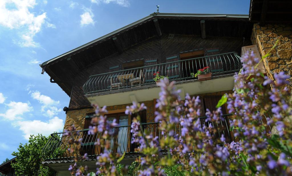 Chalet Genepi Montriond Dış mekan fotoğraf