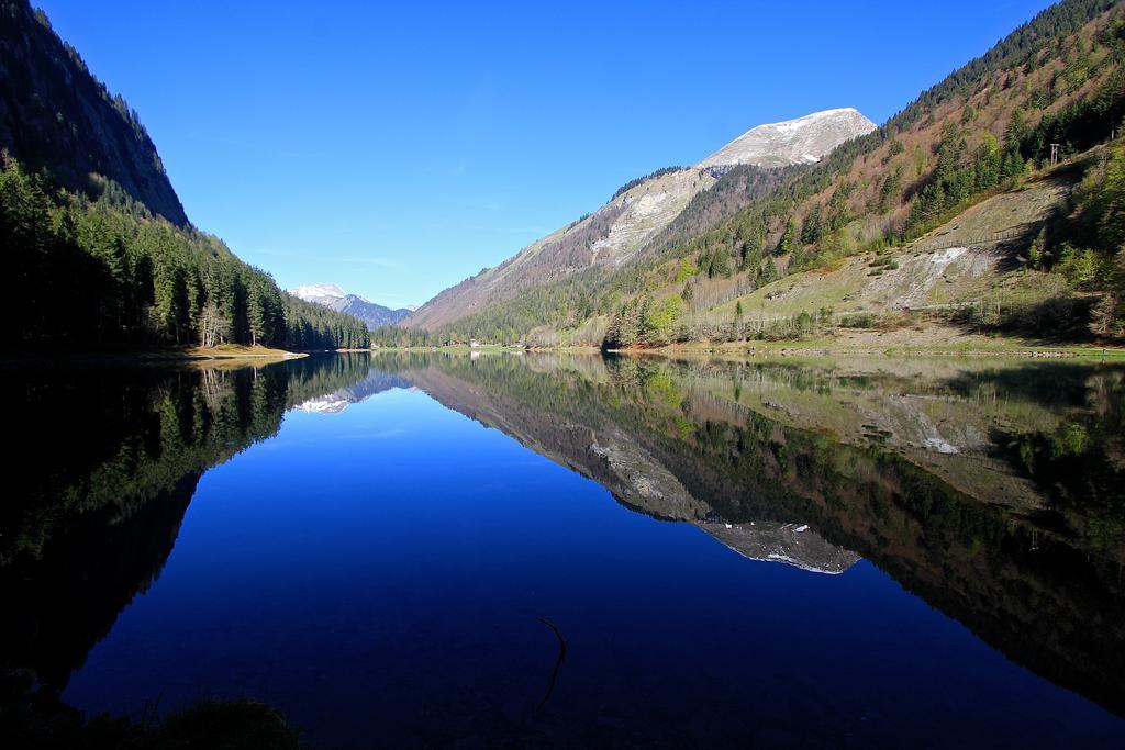 Chalet Genepi Montriond Dış mekan fotoğraf