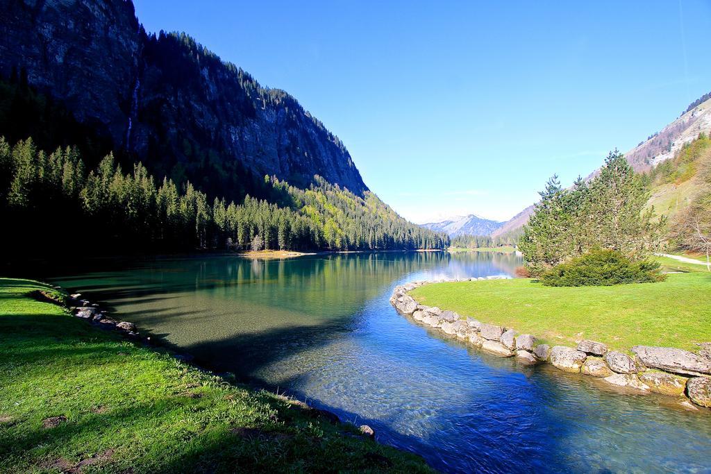 Chalet Genepi Montriond Dış mekan fotoğraf