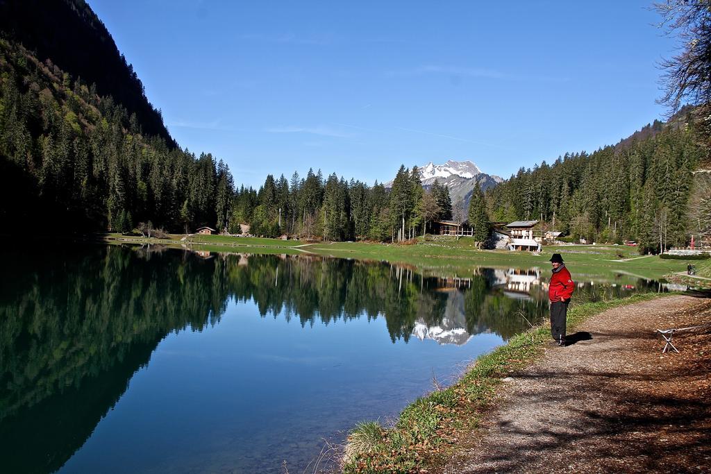 Chalet Genepi Montriond Dış mekan fotoğraf