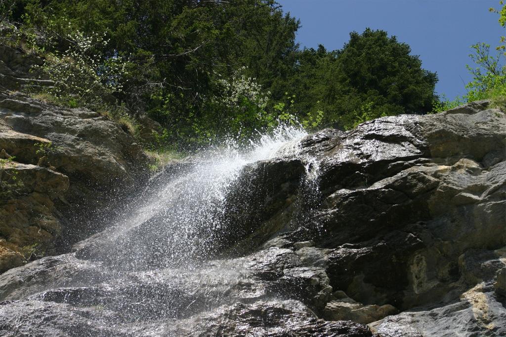 Chalet Genepi Montriond Dış mekan fotoğraf