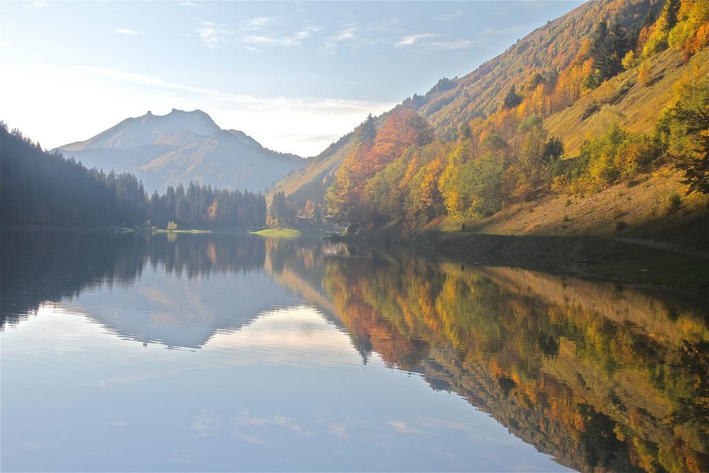 Chalet Genepi Montriond Dış mekan fotoğraf