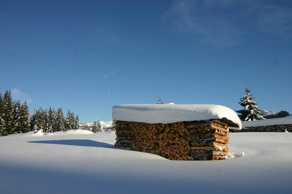 Chalet Genepi Montriond Dış mekan fotoğraf