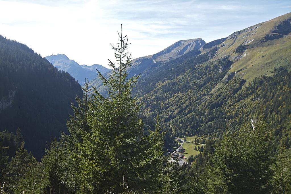 Chalet Genepi Montriond Dış mekan fotoğraf